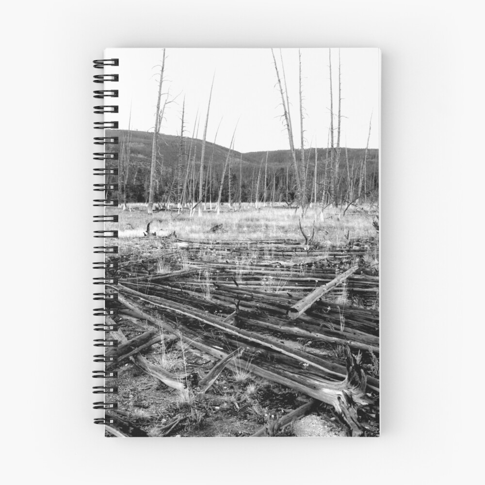 Item preview, Spiral Notebook designed and sold by Rachell Taylor.