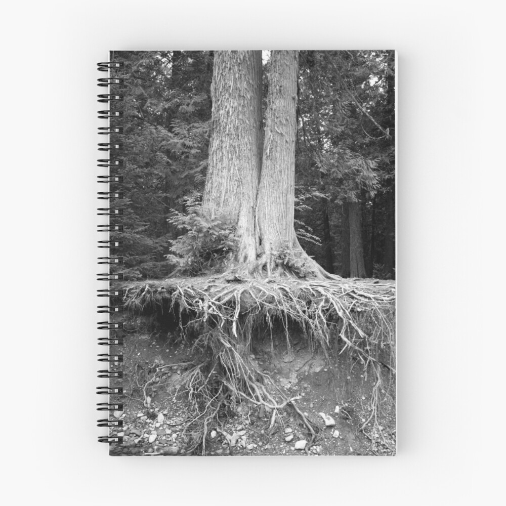 Item preview, Spiral Notebook designed and sold by Rachell Taylor.