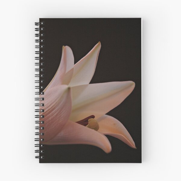 Item preview, Pale Lily designed and sold by Julesrules.