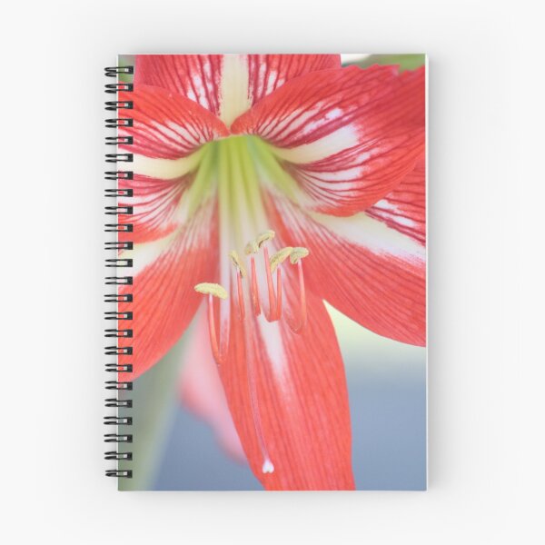 Item preview, Spring Bloom designed and sold by Sazzyshortness.