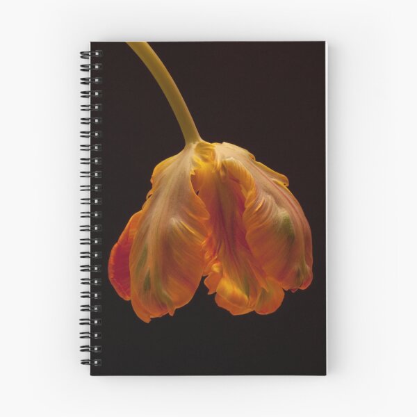 Item preview, Hanging Parrot Tulip designed and sold by clint hudson.