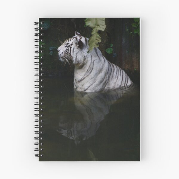 Artikelvorschau, White Tiger Keeping Cool entworfen und verkauft von Chris Cherry.