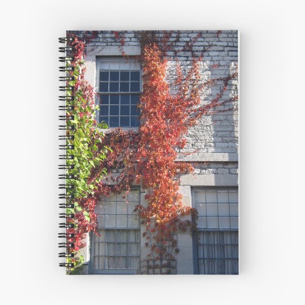Artikelvorschau, *•.¸♥♥¸.•* .(。◕‿◕。) Fall>>House~H=Hope For The World*•.¸♥♥¸.•* .(。◕‿◕。) entworfen und verkauft von ✿✿ Bonita ✿✿ ђєℓℓσ.