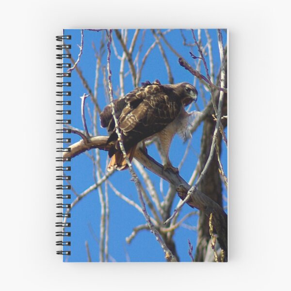 Item preview, Redtail Hawk designed and sold by Klaus Girk.