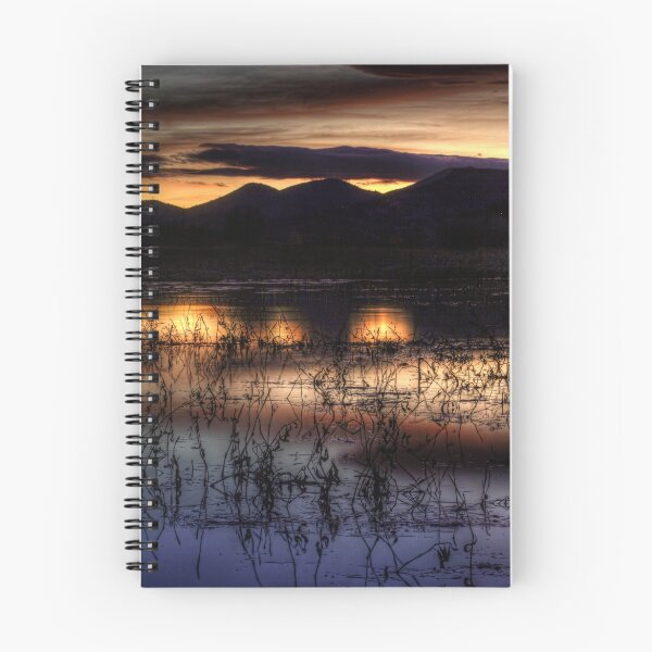 Item preview, Twi Lit designed and sold by Bob Larson.