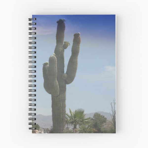 Artikelvorschau, Saguaro cactus in bloom entworfen und verkauft von Onehun.