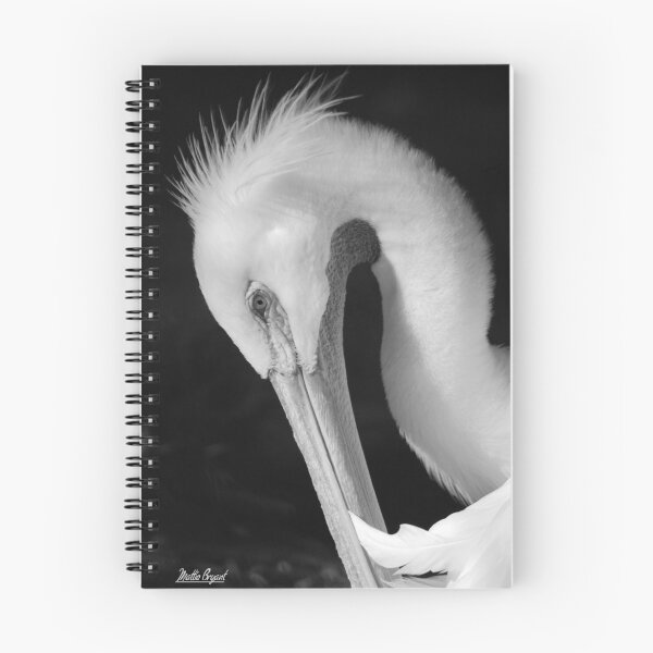 Item preview, Potrait of a Pelican in B/W designed and sold by Mattie Bryant.