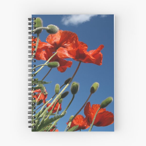 Item preview, Red Poppies to the Sky - Quakertown, PA designed and sold by Anna Lisa Yoder.