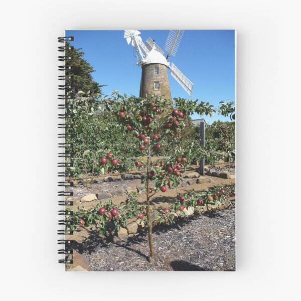 Item preview, Callington Espalier designed and sold by DEB CAMERON.