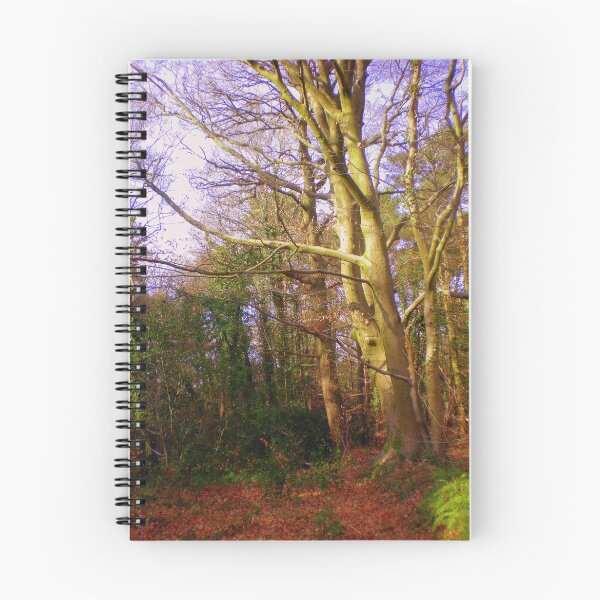 Item preview, Trees Embracing designed and sold by Songwriter.