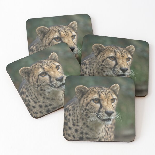 Item preview, Cheetah's Face designed and sold by rawshutterbug.