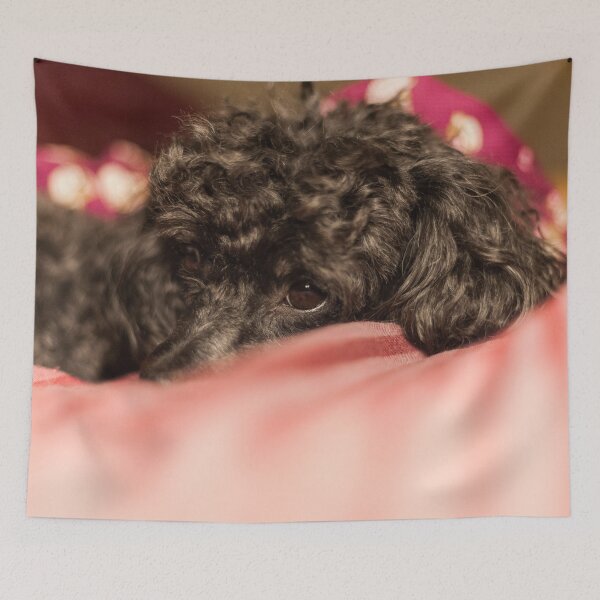 Item preview,  Sleepy Poodle Toy designed and sold by KensLensDesigns.