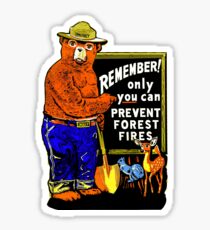 Only You Can Prevent Forest Fires Stickers | Redbubble