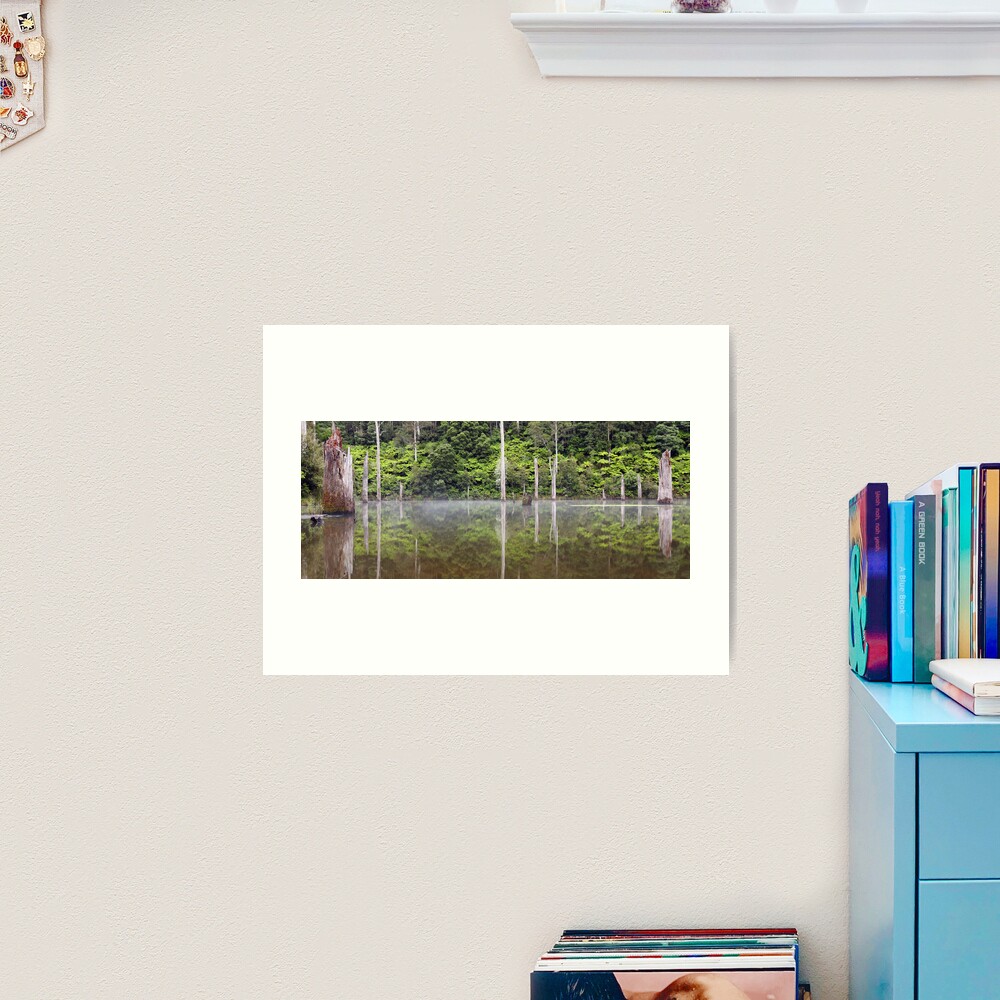 Lake Elisabeth, Otways National Park, Australia Art Print