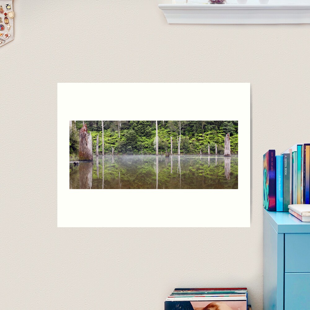 Lake Elisabeth, Otways National Park, Australia Art Print