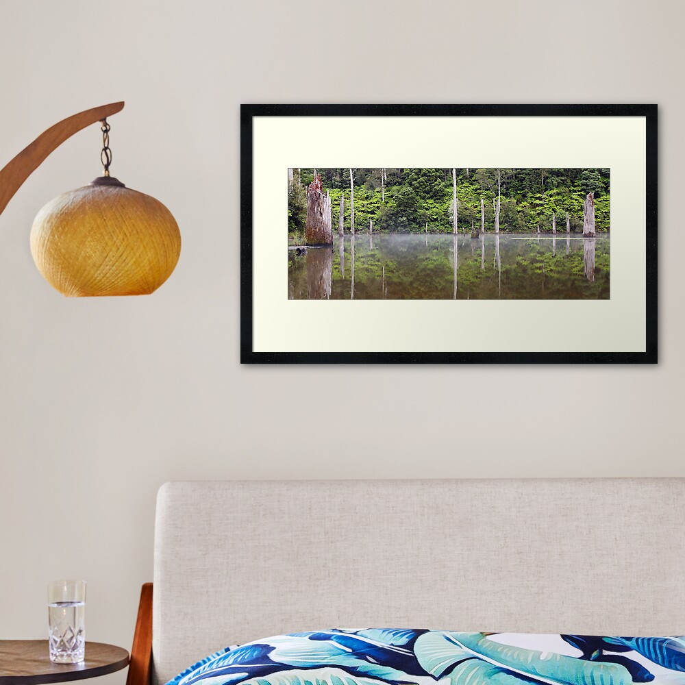 Lake Elisabeth, Otways National Park, Australia Framed Art Print