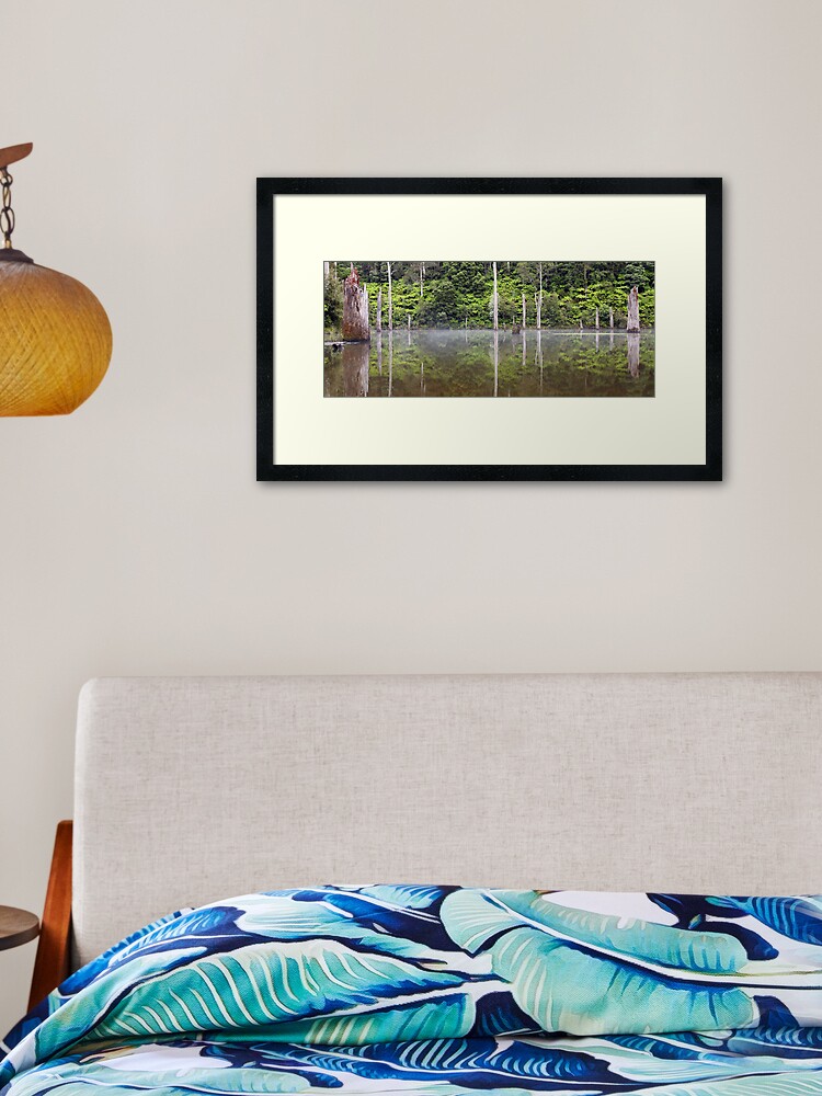 Thumbnail 2 of 7, Framed Art Print, Lake Elisabeth, Otways National Park, Australia designed and sold by Chockstone.