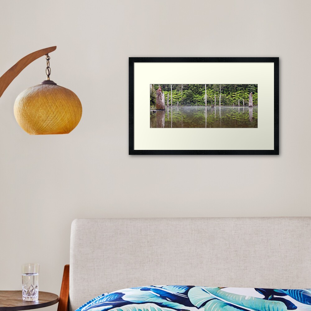 Lake Elisabeth, Otways National Park, Australia Framed Art Print