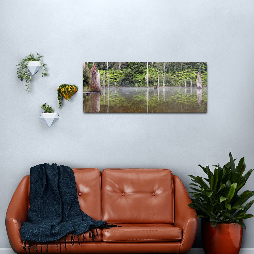 Lake Elisabeth, Otways National Park, Australia Metal Print
