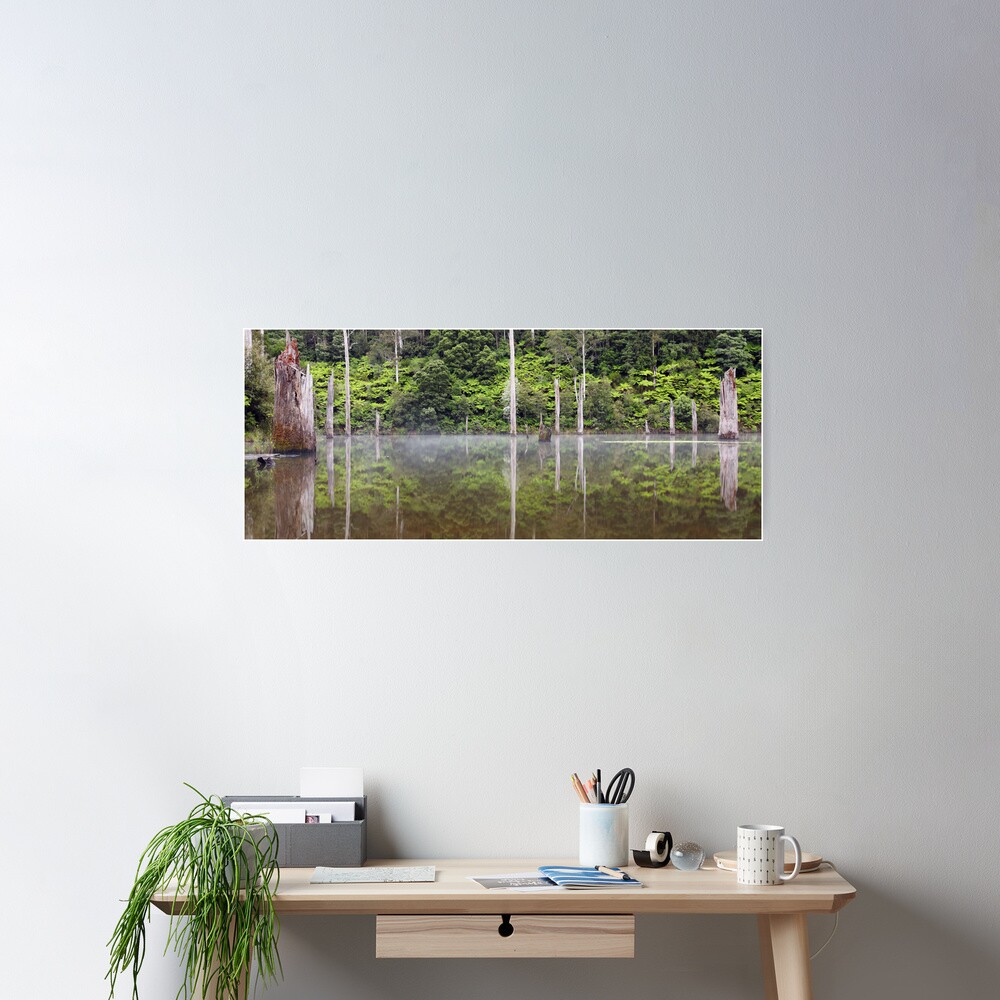 Lake Elisabeth, Otways National Park, Australia Poster