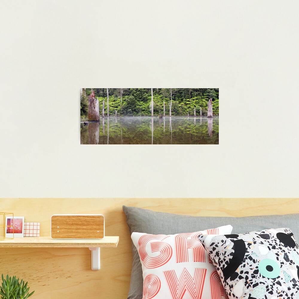 Lake Elisabeth, Otways National Park, Australia Photographic Print