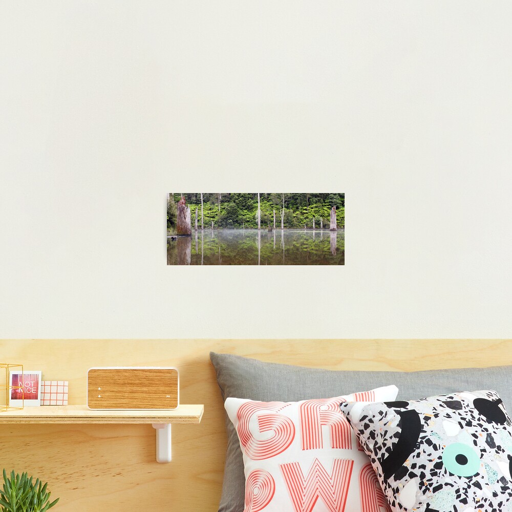 Lake Elisabeth, Otways National Park, Australia Photographic Print