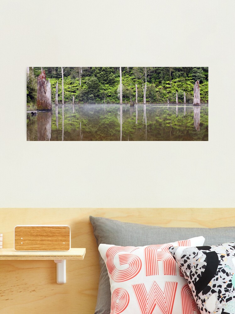 Thumbnail 2 of 3, Photographic Print, Lake Elisabeth, Otways National Park, Australia designed and sold by Chockstone.