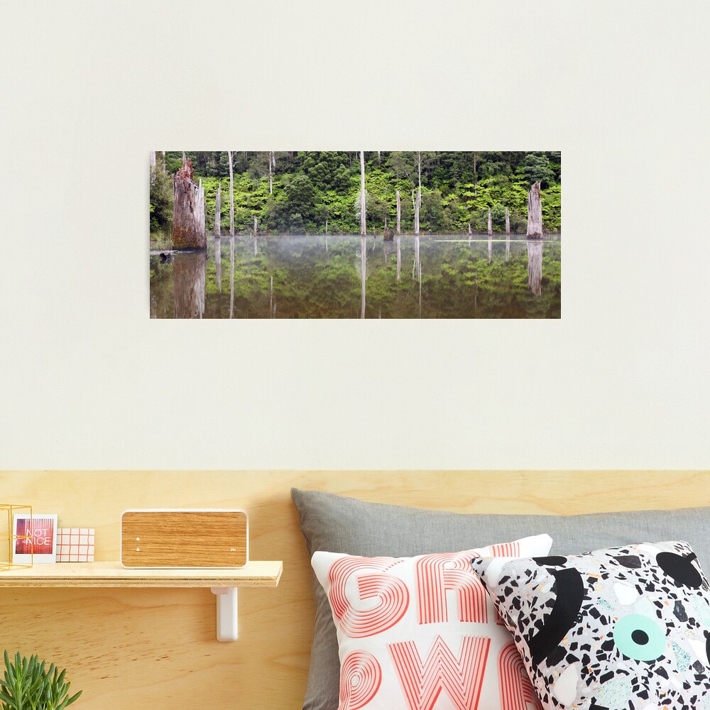 Lake Elisabeth, Otways National Park, Australia Photographic Print
