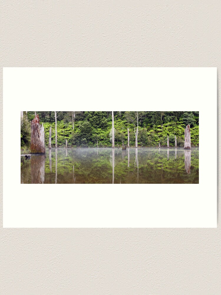 Thumbnail 2 of 3, Art Print, Lake Elisabeth, Otways National Park, Australia designed and sold by Chockstone.