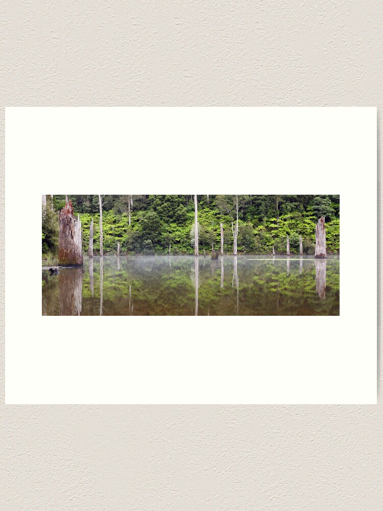 Alternate view of Lake Elisabeth, Otways National Park, Australia Art Print