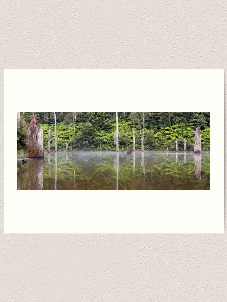 Alternate view of Lake Elisabeth, Otways National Park, Australia Art Print