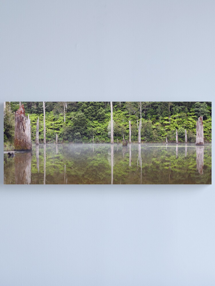 Alternate view of Lake Elisabeth, Otways National Park, Australia Canvas Print