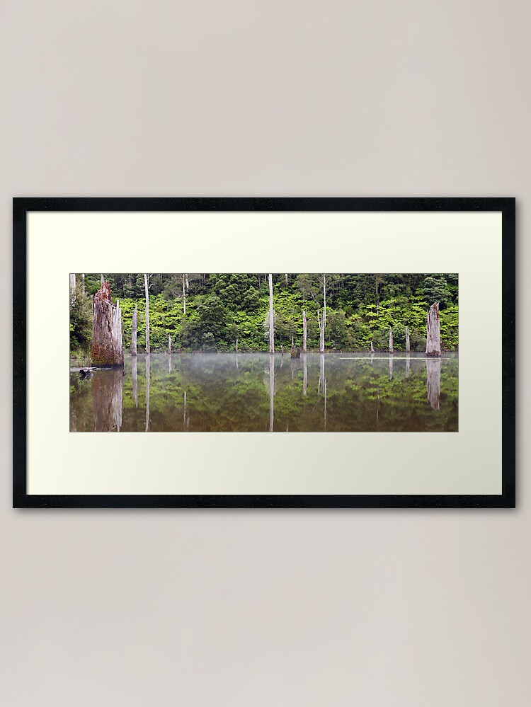 Alternate view of Lake Elisabeth, Otways National Park, Australia Framed Art Print