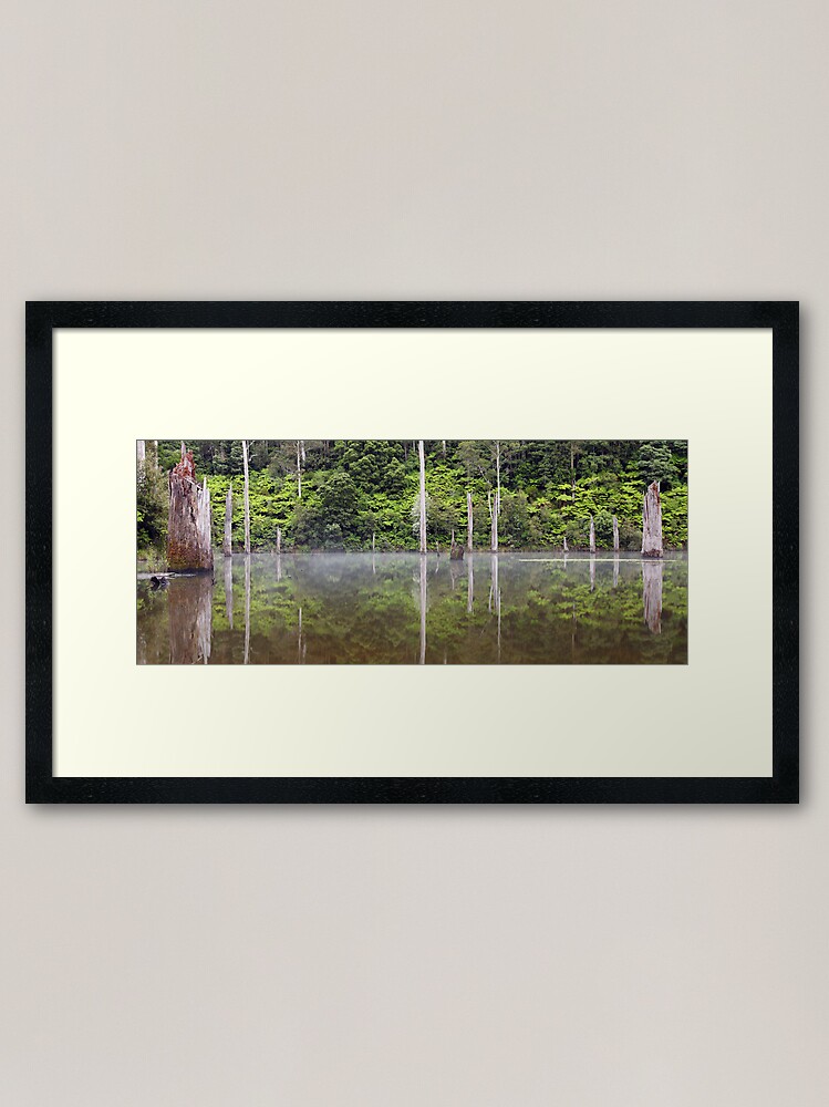 Alternate view of Lake Elisabeth, Otways National Park, Australia Framed Art Print