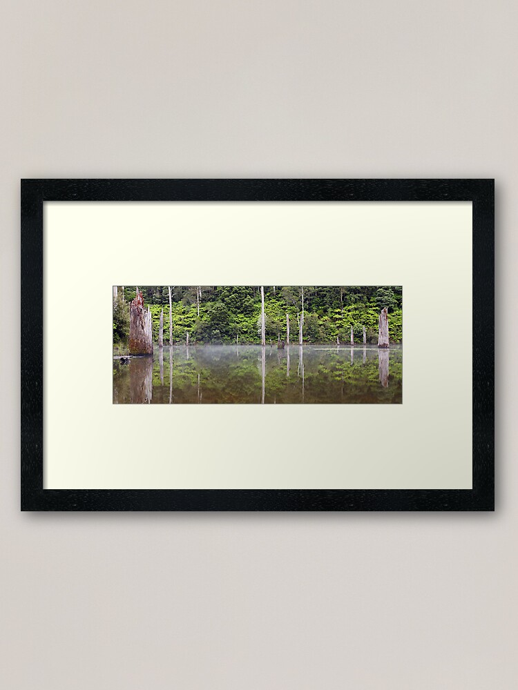 Alternate view of Lake Elisabeth, Otways National Park, Australia Framed Art Print