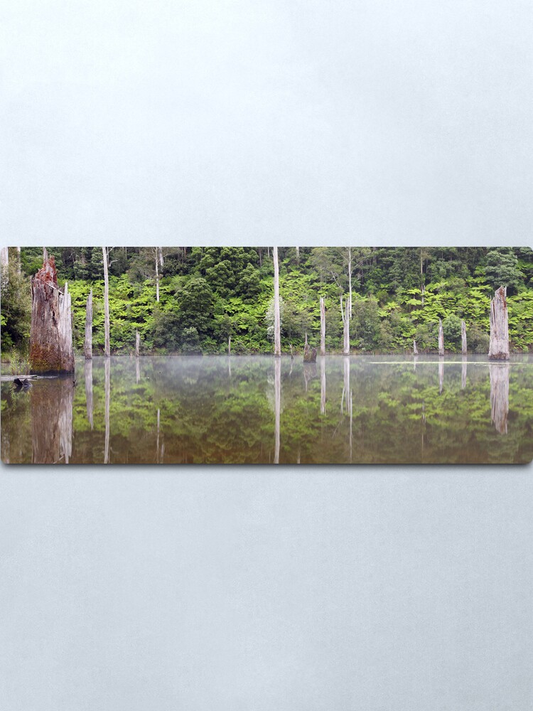Alternate view of Lake Elisabeth, Otways National Park, Australia Metal Print