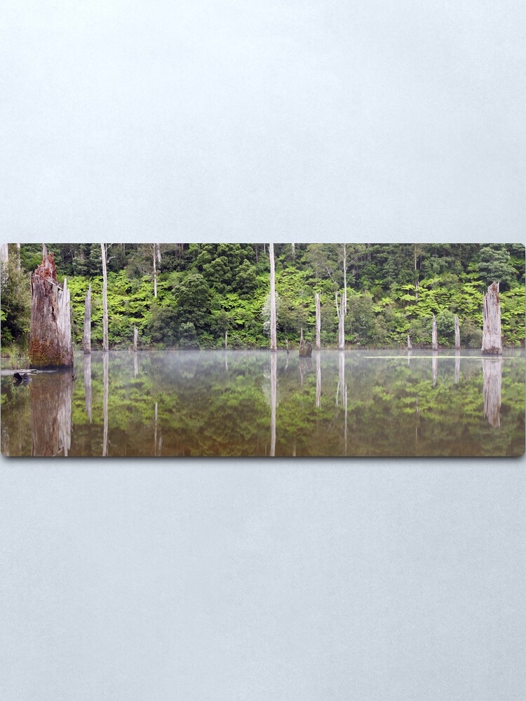 Alternate view of Lake Elisabeth, Otways National Park, Australia Metal Print