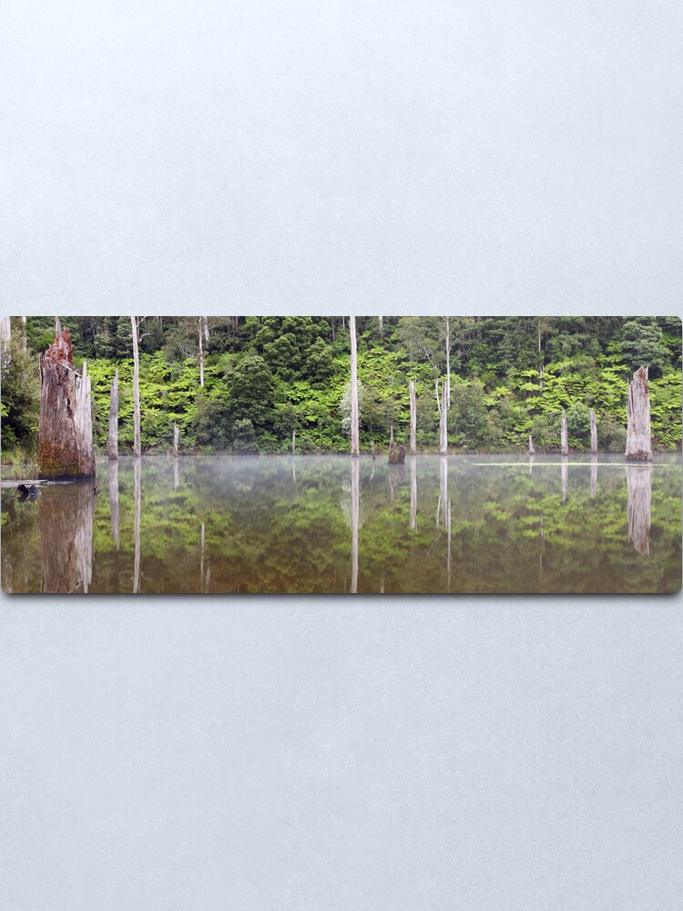 Alternate view of Lake Elisabeth, Otways National Park, Australia Metal Print