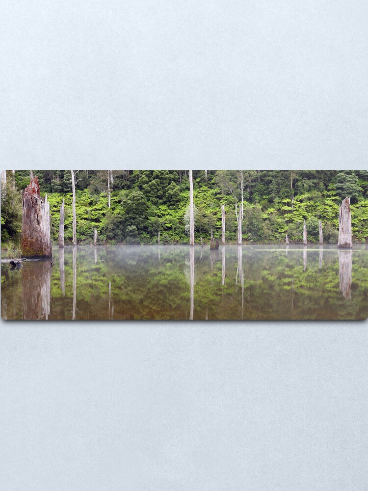Alternate view of Lake Elisabeth, Otways National Park, Australia Metal Print