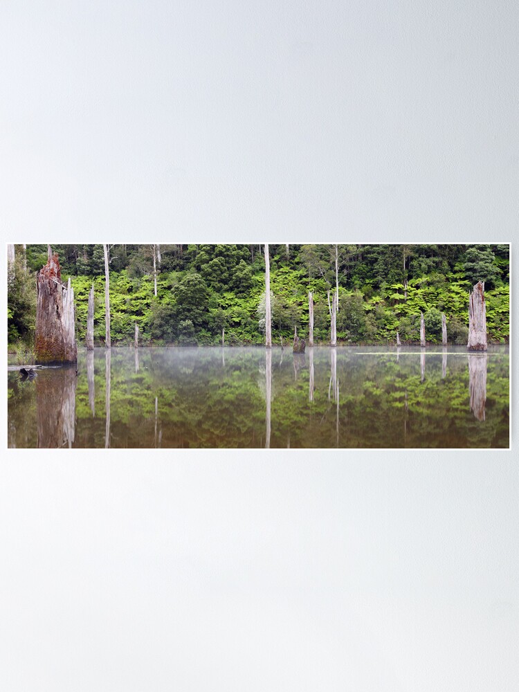 Alternate view of Lake Elisabeth, Otways National Park, Australia Poster