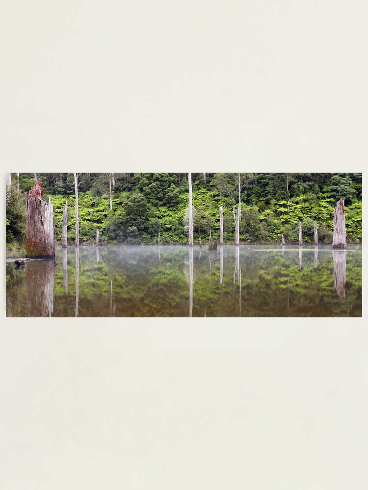 Alternate view of Lake Elisabeth, Otways National Park, Australia Photographic Print
