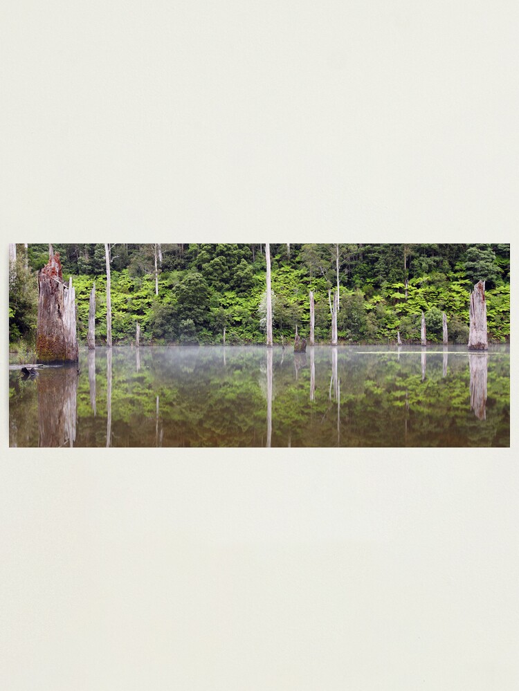 Thumbnail 1 of 3, Photographic Print, Lake Elisabeth, Otways National Park, Australia designed and sold by Chockstone.