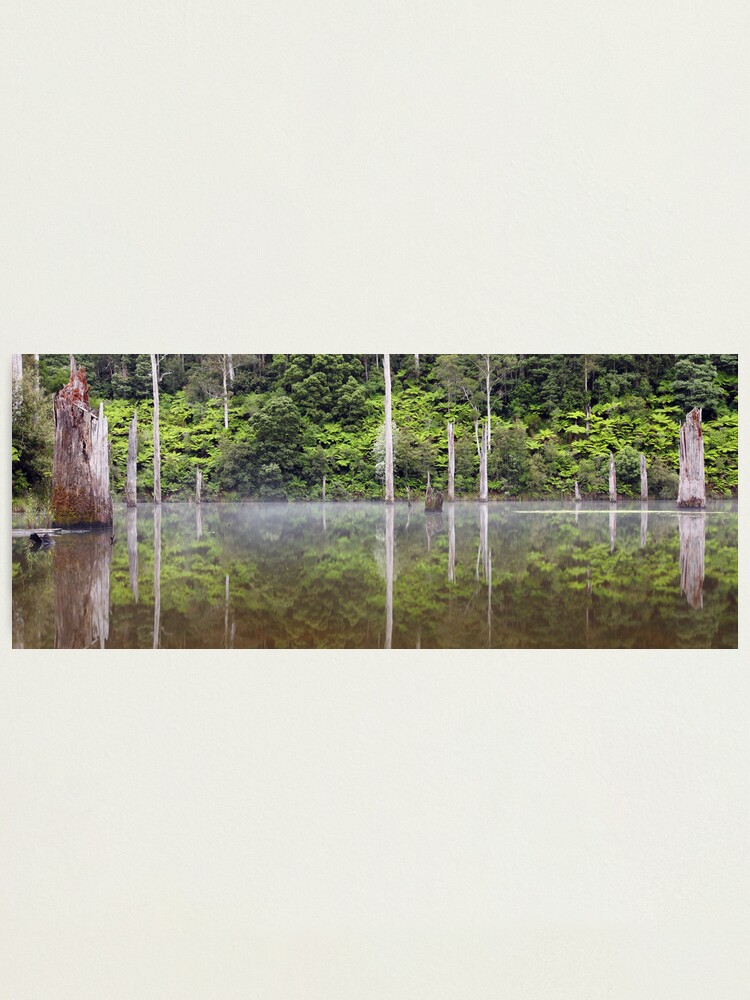 Alternate view of Lake Elisabeth, Otways National Park, Australia Photographic Print