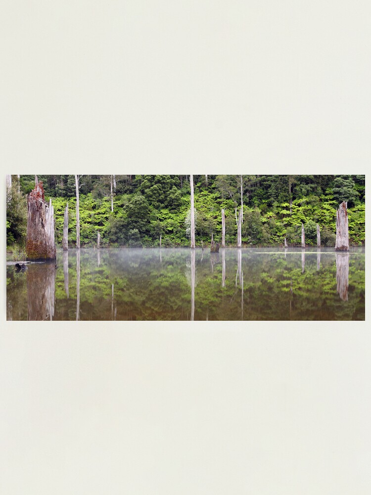 Thumbnail 1 of 3, Photographic Print, Lake Elisabeth, Otways National Park, Australia designed and sold by Chockstone.