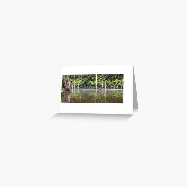 Item preview, Lake Elisabeth, Otways National Park, Australia designed and sold by Michael Boniwell.