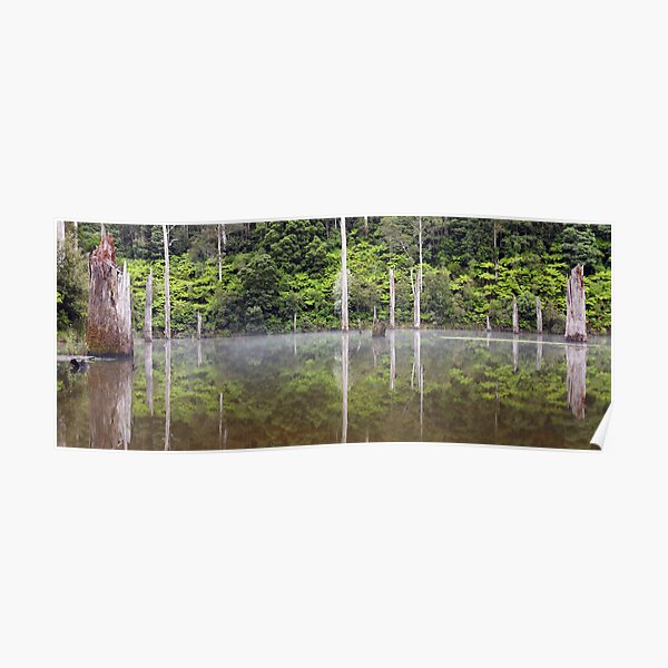 Lake Elisabeth, Otways National Park, Australia Poster