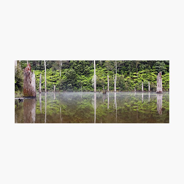 Photographic Print