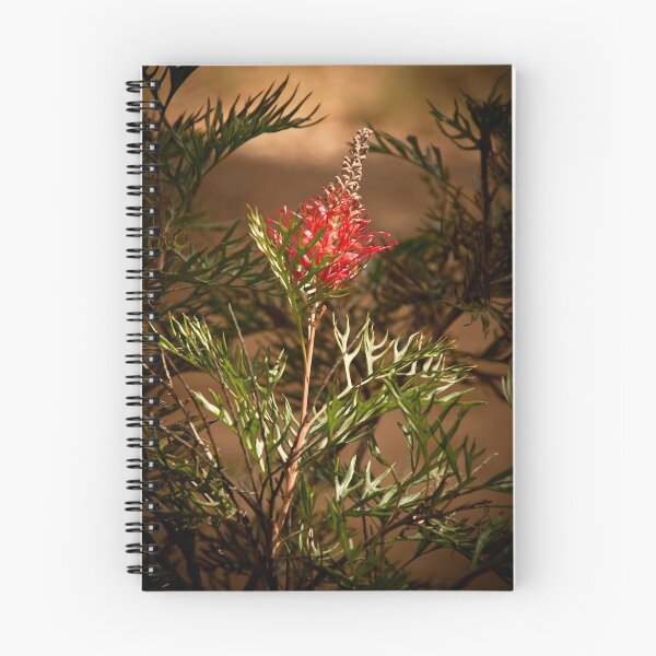 Item preview, "Grevillea On Show" designed and sold by Heather Thorning.