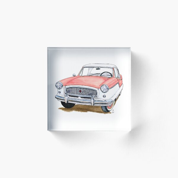 Nash Metropolitan - Coral Pink Acrylic Block