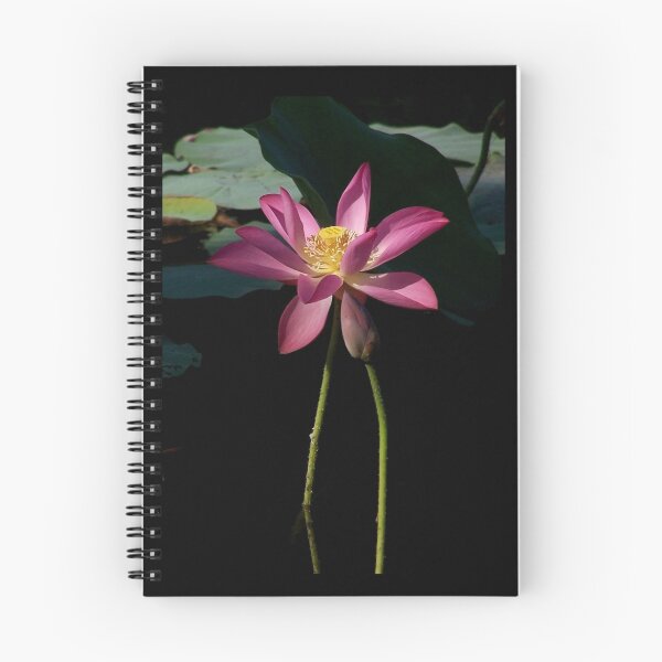 Artikelvorschau, illusional Lotus entworfen und verkauft von jono johnson.